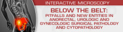 USCAP BELOW THE BELT Pitfalls and New Entities in Anorectal Urologic and Gynecologic Surgical Pathology and Cytopathology 2023 CME VIDEOS
