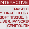 USCAP Crash Course in Cytopathology: Thorax, Soft Tissue, Head and Neck, Liver, Pancreatobiliary and Genitourinary Tract 2024 USCAP Crash Course in Cytopathology Thorax Soft Tissue Head and Neck Liver Pancreatobiliary and Genitourinary Tract 2024