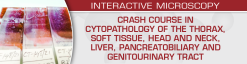 USCAP Crash Course in Cytopathology Thorax Soft Tissue Head and Neck Liver Pancreatobiliary and Genitourinary Tract 2024