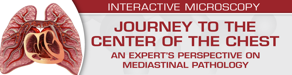 USCAP Journey to the Center of the Chest: An expert’s perspective on mediastinal pathology 2023 USCAP Journey to the Center of the Chest: An expert’s perspective on mediastinal pathology 2023