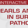 USCAP Second Edition: Pearls and Palms in Surgical Pathology 2023 USCAP Second Edition Pearls and Palms in Surgical Pathology 2023