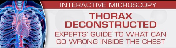 USCAP THORAX DECONSTRUCTED Experts Guide to What Can Go Wrong Inside the Chest 2023 USCAP THORAX DECONSTRUCTED Experts Guide to What Can Go Wrong Inside the Chest 2023