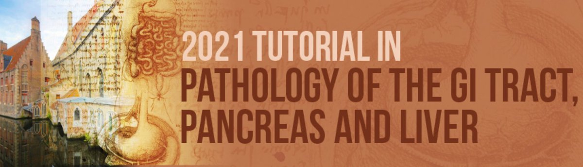 USCAP Tutorial in Pathology of the GI Tract, Pancreas and Liver 2021 USCAP Tutorial in Pathology of the GI Tract, Pancreas and Liver 2021