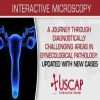a journey through diagnostically challenging areas in gynecologic pathology updated with new cases 2019