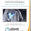 AIUM Fetal Echocardiography Guideline Tutorial a3 510x755 1
