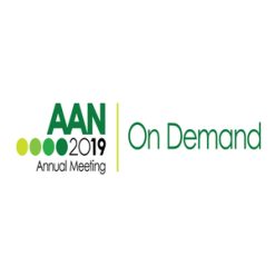 aan 2019 annual on demand