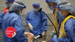 aaos advanced techniques in knee cartilage ligaments osteotomy meniscus and more 2022 course 510x287 1