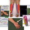 EMG/NCS Online Series: Volume III Sensory Nerve Conduction Studies (2nd Edition) (Videos) emg ncs online series volume iii afkebooks 510x355 1