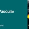 f3924e027ca1bc12ac1a958adac139f7 nivv21 video masthead 960x335 510x178 1
