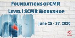 foundations of cmr e28093 level i scmr workshop 2020 600x300 1 510x255 1