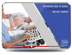 introduction to adult echocardiography