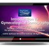 Gulfcoast Introduction to Gynecological Sonography introduction to gynecological sonography online 1