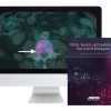 ARRS Pitfalls, Variants, and Pseudolesions: How to Avoid Misdiagnosis 2019 new pitfalls variants