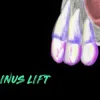ninja sinus lift 510x250 1