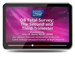 ob fetal survey the second third trimester 1