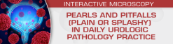 pearls and pitfalls plain or splashy in daily urologic pathology practice 510x132 1 1