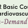 SPR 2021 18th Basic Course on Pediatric Cardiovascular MRI On-Demand spr 303822f9127a9ee27bb1698ceb42a2cf