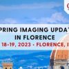Spring Imaging Update in Florence, Italy May 18-19, (Course 2023) spring imaging update in florence italy may 18 19 course 2023 510x355 1