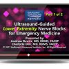 Gulfcoast: Ultrasound-Guided Lower Extremity Nerve Blocks for Emergency Medicine ultrasound guided lower extremity nerve blocks
