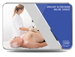 urology ultrasound online course
