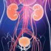 Comprehensive Review of Urology 2024 Comprehensive Review of Urology 2024