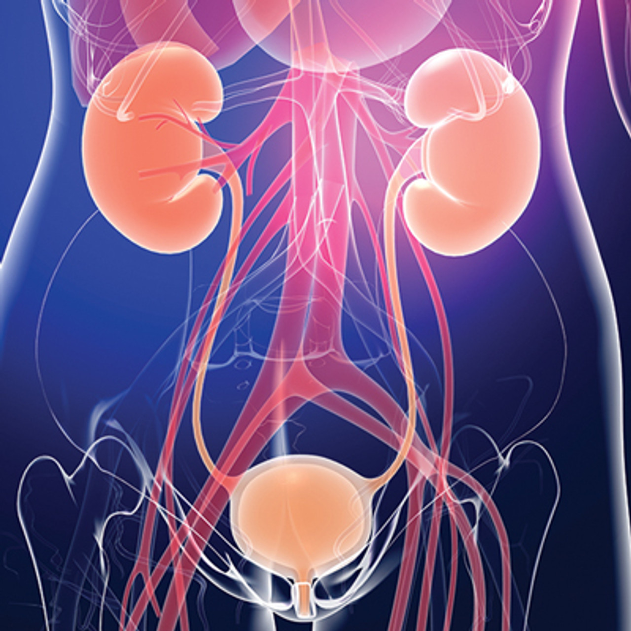 Comprehensive Review of Urology 2024 Comprehensive Review of Urology 2024