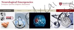 Harvard Neurological Emergencies 2024