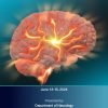 Comprehensive Stroke Update 2024 Comprehensive Stroke Update 2024