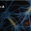 Harvard Neuropsychiatry: A Comprehensive Update 2024 Harvard Neuropsychiatry: A Comprehensive Update 2024