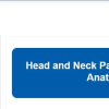 Head and Neck Pathology Through Anatomy 2024 Head and Neck Pathology Through Anatomy 2024