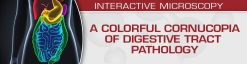 USCAP A Colorful Cornucopia of Digestive Tract Pathology 2022