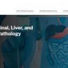 Harvard Gastrointestinal, Liver, and Pancreatic Pathology 2024 Harvard Gastrointestinal, Liver, and Pancreatic Pathology 2024