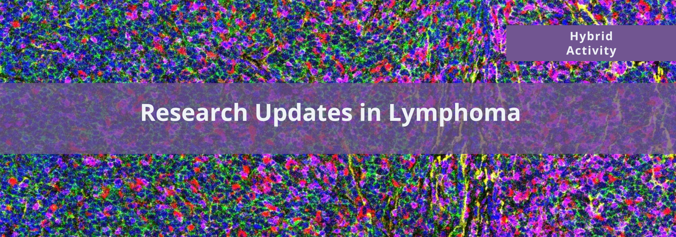 Cedars Sinai Research Updates in Lymphoma 2024 Cedars Sinai Research Updates in Lymphoma 2024