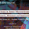 39th Annual Critical Issues in Tumor Microenvironment: Angiogenesis, Metastasis and Immunology 2024 (Videos + Slides) 39th Annual Critical Issues in Tumor Microenvironment: Angiogenesis, Metastasis and Immunology 2024 (Videos + Slides)