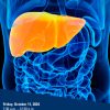 Michigan Medicine 13th Annual Western Michigan Liver Round-Up 2024 Michigan Medicine 13th Annual Western Michigan Liver Round-Up 2024