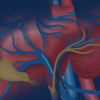 Michigan Medicine 27th Annual Liver Disease Wrap-Up 2024 Michigan Medicine 27th Annual Liver Disease Wrap-Up 2024