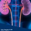 Michigan Medicine State of the Art Kidney and Pancreas Transplantation 2024 Michigan Medicine State of the Art Kidney and Pancreas Transplantation 2024