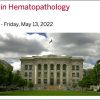 Harvard Current Concepts in Hematopathology 2022 Harvard Current Concepts in Hematopathology 2022
