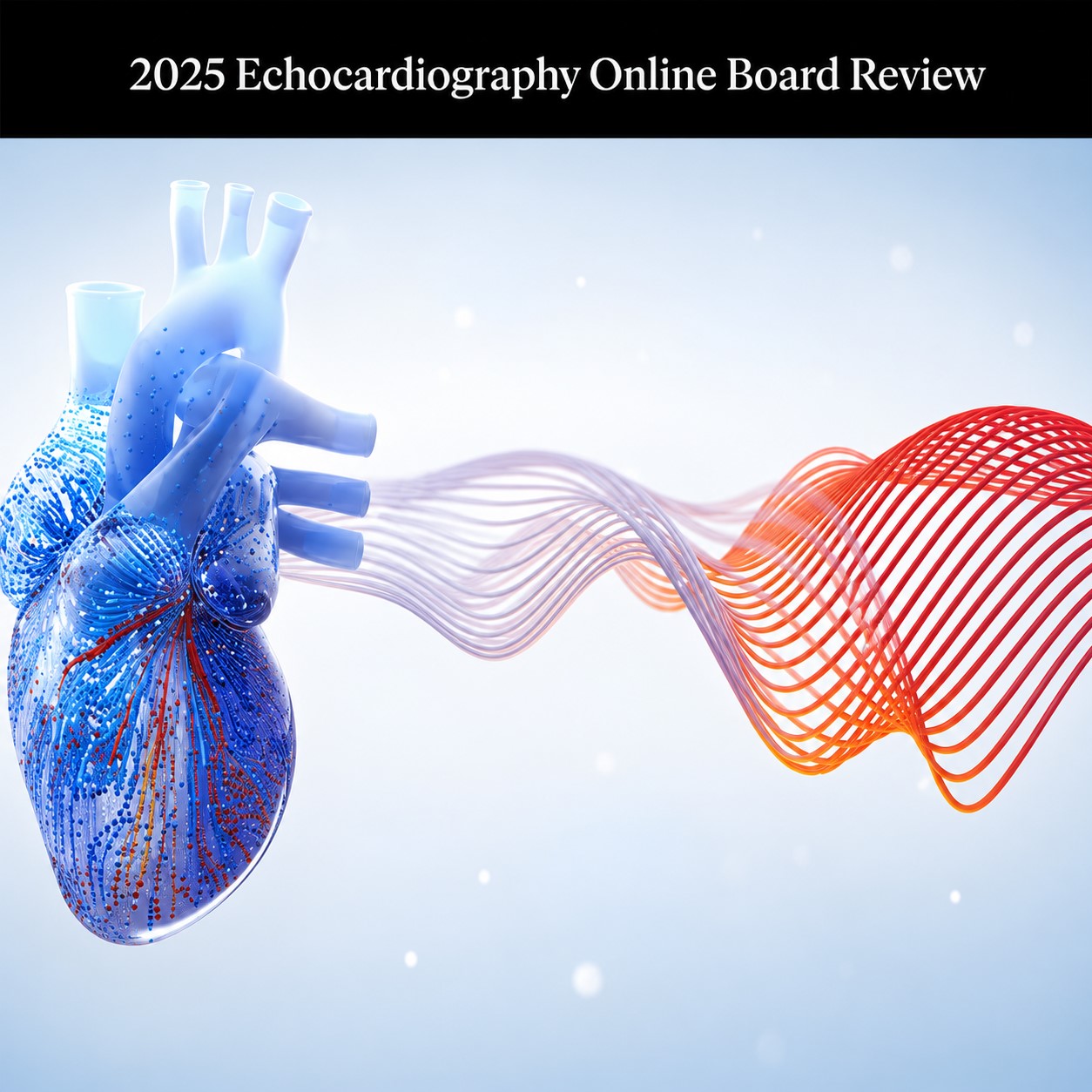 Mayo Clinic 2025 Echocardiography Online Board Review (Videos + Slides) Mayo Clinic 2025 Echocardiography Online Board Review (Videos + Slides)