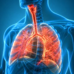 The Brigham Board Review and Comprehensive Update in Pulmonary Medicine 2025 (Videos + Slides)