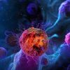 2025 Update in Hematology and Medical Oncology 2025 Update in Hematology and Medical Oncology (Videos with subtitles + Slides)