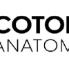 Cotofana Anatomy Online Anatomy Courses (Professor Cotofana Anatomy Review) Cotofana Anatomy Online Anatomy Courses (Professor Cotofana Anatomy Review)