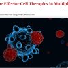 International Myeloma Society 6th Immune Effector Cell Therapies in Multiple Myeloma Workshop 2025 International Myeloma Society 6th Immune Effector Cell Therapies in Multiple Myeloma Workshop 2025