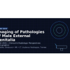 AARS Imaging of Pathologies of Male External Genitalia 2025 AARS Imaging of Pathologies of Male External Genitalia 2025