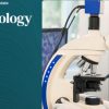 Harvard Dermatopathology Update 2025 Harvard Dermatopathology Update 2025