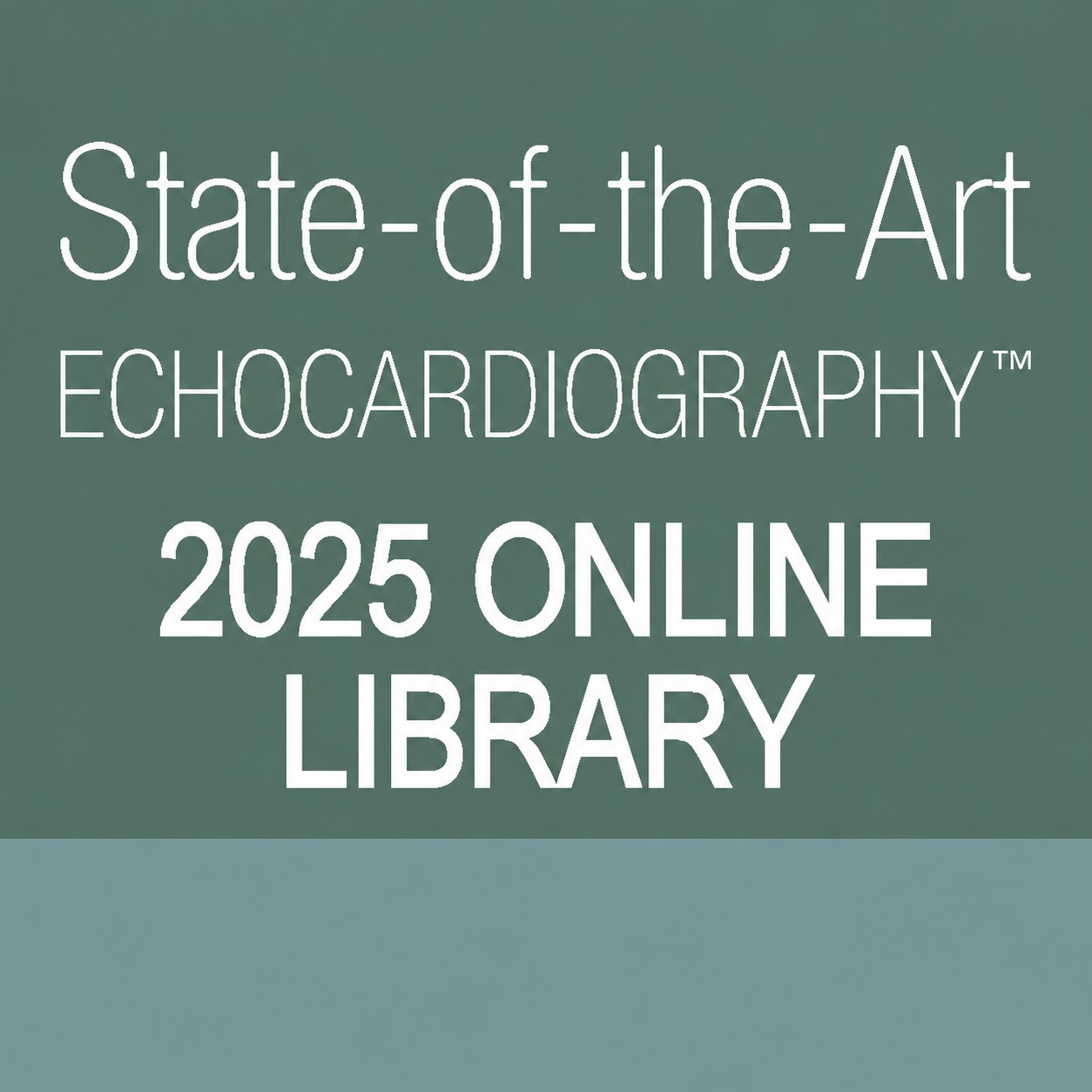 ASE 2025 SOTA Online Library ASE 2025 SOTA Online Library