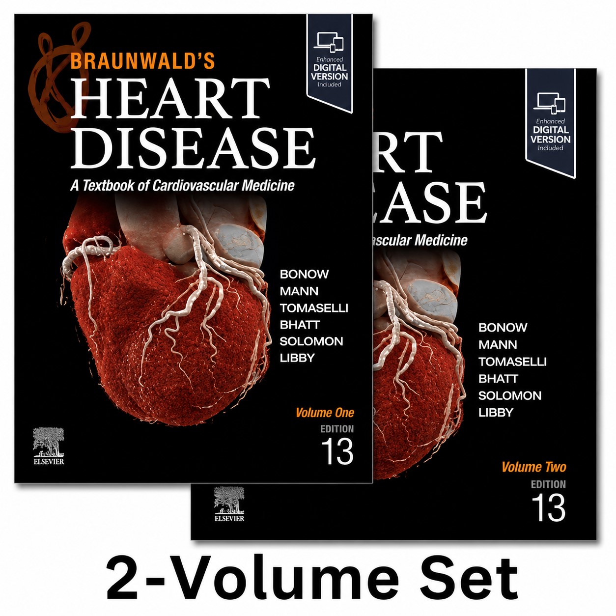 Braunwald’s Heart Disease: A Textbook of Cardiovascular Medicine, 13ed (Videos Only) Braunwald’s Heart Disease: A Textbook of Cardiovascular Medicine, 13ed (Videos Only)