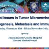 Harvard Critical Issues in Tumor Microenvironment Angiogenesis, Metastasis and Immunology 2025 Harvard Critical Issues in Tumor Microenvironment Angiogenesis, Metastasis and Immunology 2025