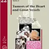 Tumors of the Heart and Great Vessels (AFIP Atlas of Tumor Pathology, Series 4, 22) (Original PDF from Publisher) Tumors of the Heart and Great Vessels (AFIP Atlas of Tumor Pathology, Series 4, 22) (Original PDF from Publisher)