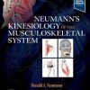 Neumann’s Kinesiology of the Musculoskeletal System, 4th edition (Videos Only, Well Organized) Neumann’s Kinesiology of the Musculoskeletal System, 4th edition (Videos Only, Well Organized)